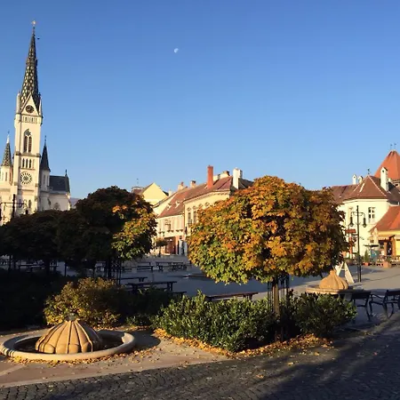 Irottkoe Hotel Kőszeg
